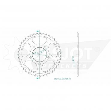 ESJOT  Sprocket 43 Z