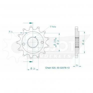 ESJOT Front Sprocket 13 Z