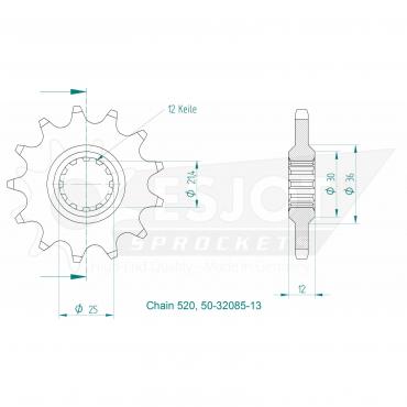 ESJOT Front Sprocket 13 Z