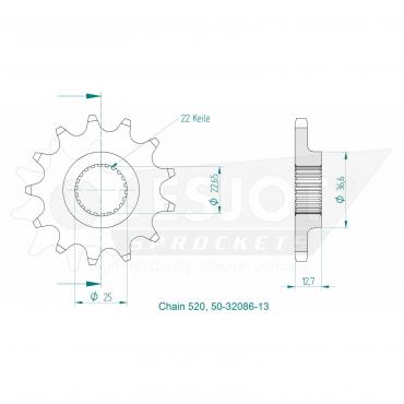 ESJOT Front Sprocket 13 Z