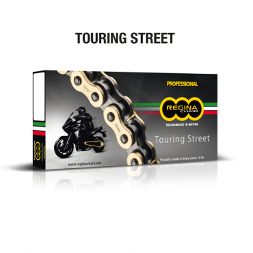 REGINA OR-chain 428ORT2 10m roll