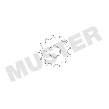 Ritzel 13 Z