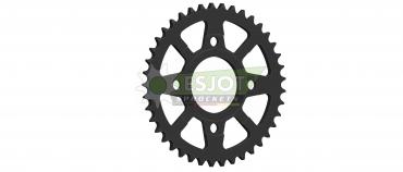 Esjot Kettenrad 41 Z