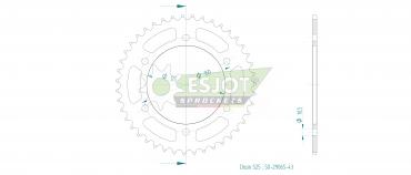 Esjot Kettenrad 43 Z