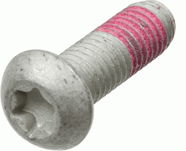 TRW Befestigungsschrauben BMW MSS113-5