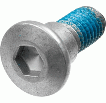TRW mounting screws MSS114-5